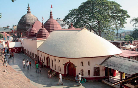 Life and Culture in Northeast India - Retail Maharaj