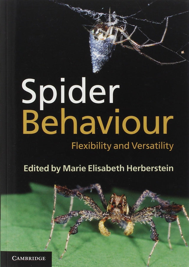 Spider Behaviour: Flexibility and Versatility - Retail Maharaj