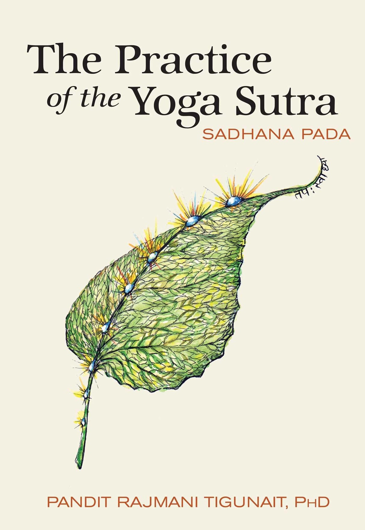 The Practice of the Yoga Sutra: Sadhana Pada - Retail Maharaj