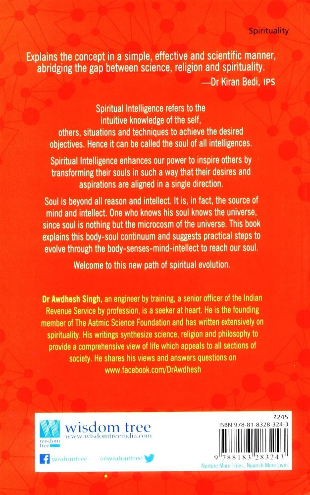 Practising Spiritual Intelligence: For Innovation, Leadership And Happiness - Retail Maharaj