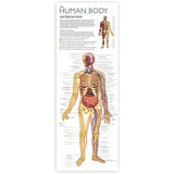WOL DISCOVER THE HUMAN BODY - TIN BOX KIT, NPP - Retail Maharaj