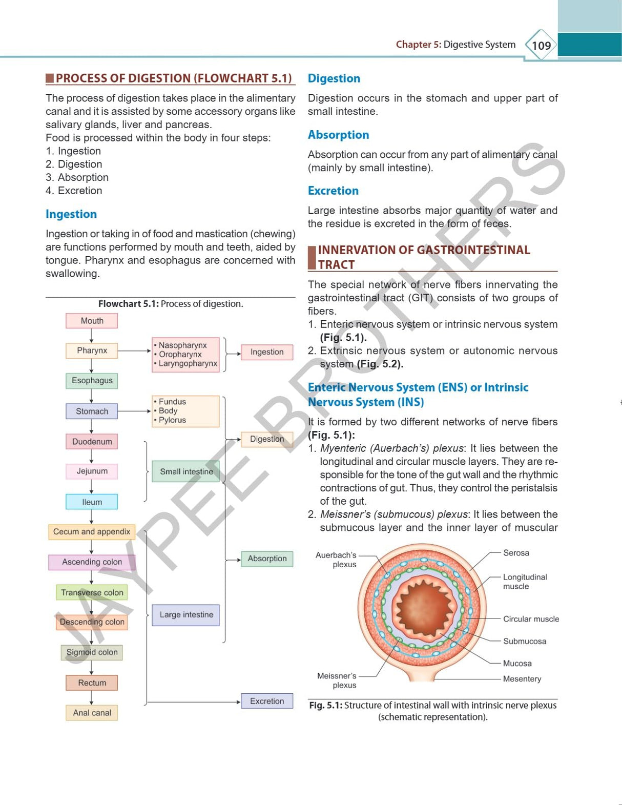ESSENTIALS OF ANATOMY & PHYSIOLOGY FOR ALLIED HEALTH SCIENCES - Retail Maharaj