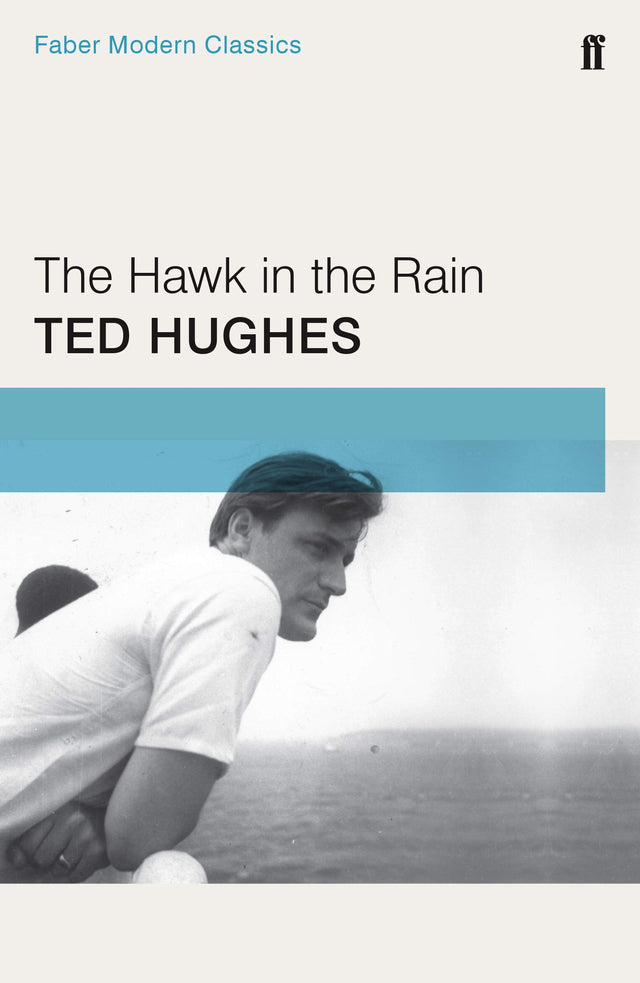 The Hawk in the Rain - Retail Maharaj