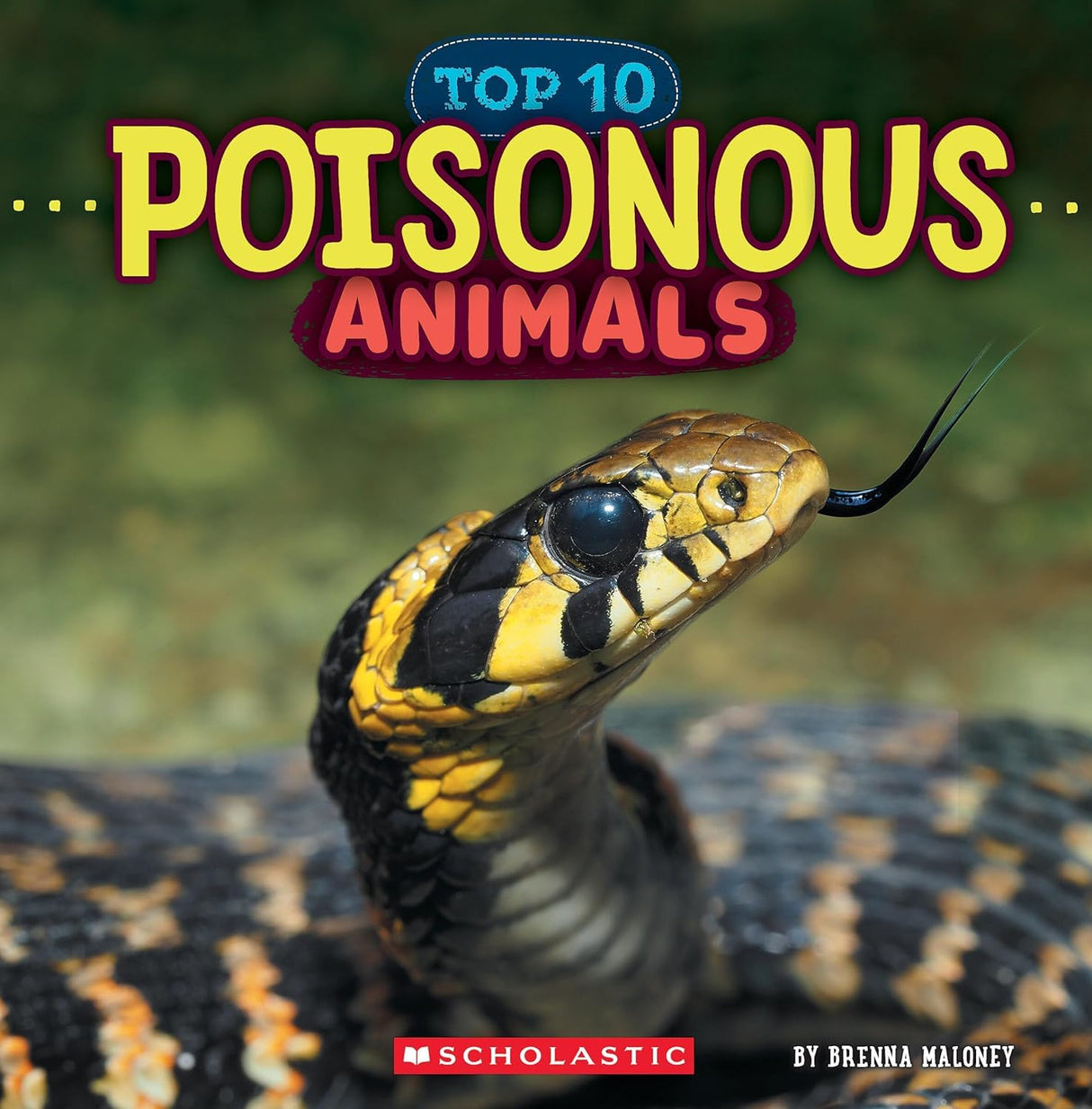 Poisonous Animals (Wild World: Top 10) - Retail Maharaj