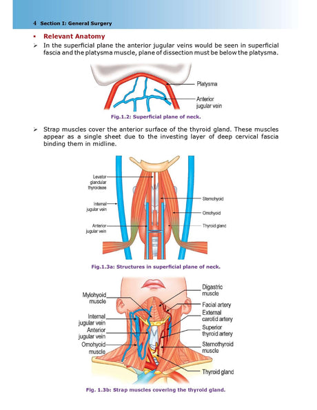 Essential Surgical Anatomy 1st/2026 - Retail Maharaj