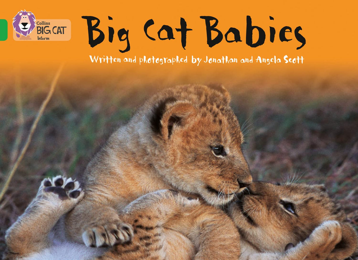 Big Cat Babies: Band 05/Green (Collins Big Cat) - Retail Maharaj