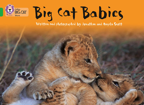 Big Cat Babies: Band 05/Green (Collins Big Cat) - Retail Maharaj