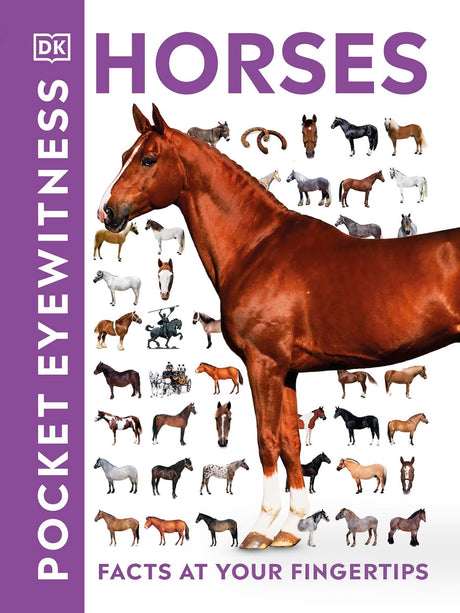 HORSES - Retail Maharaj