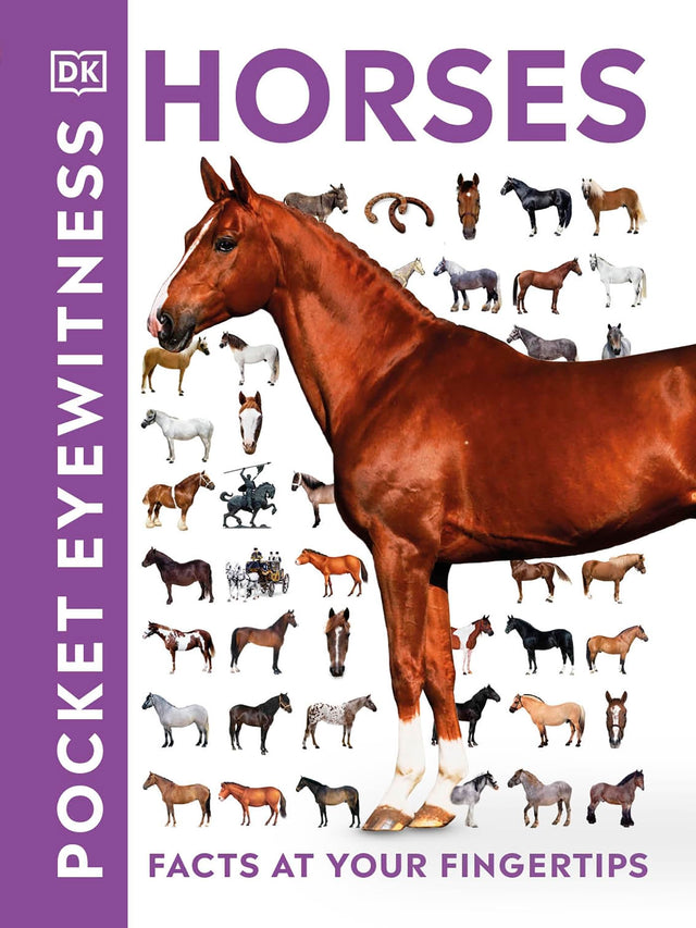 HORSES - Retail Maharaj
