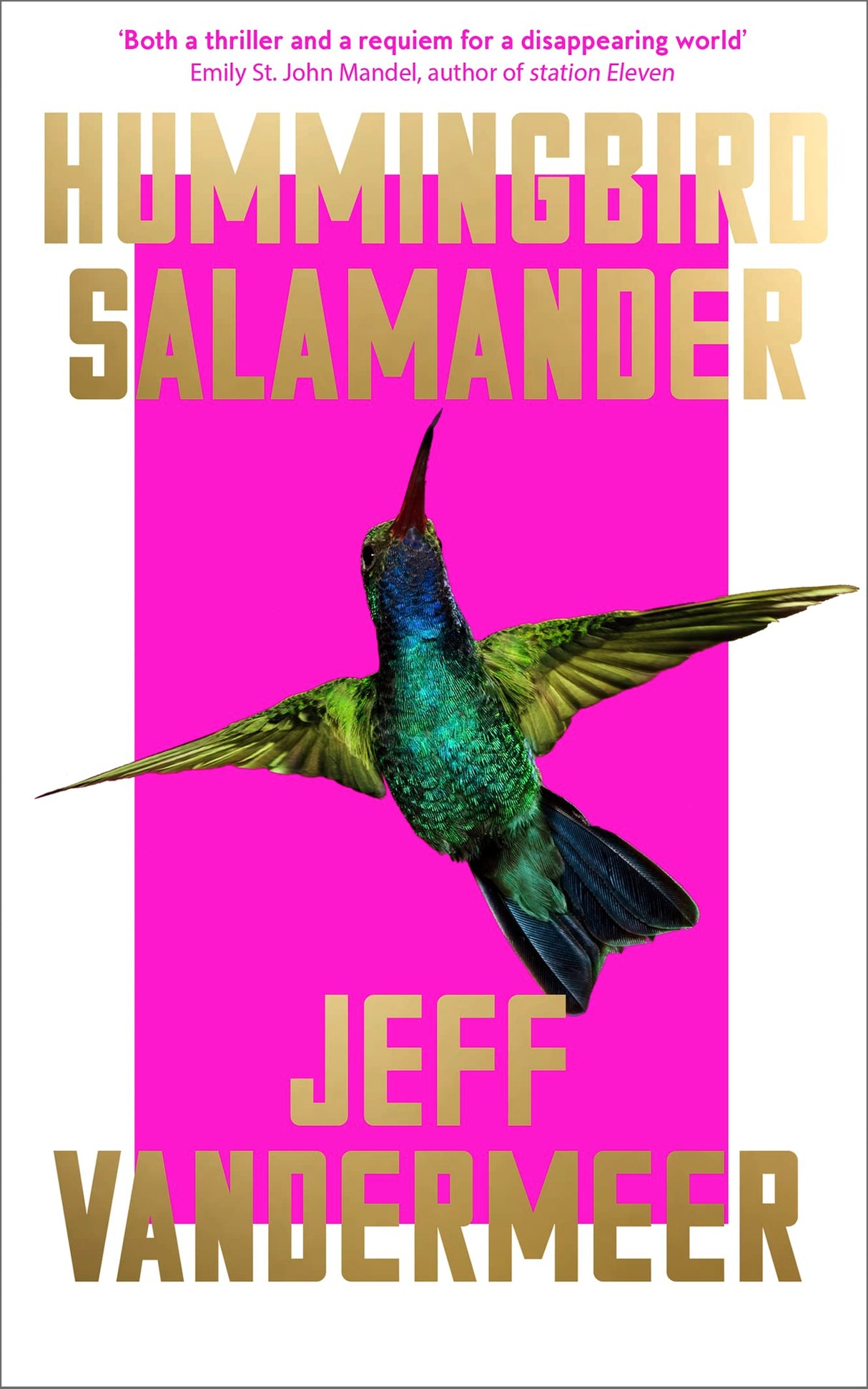 Hummingbird Salamander - Retail Maharaj