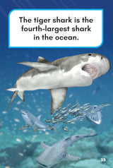 What Would You Rather Be? A Tiger Or A Tiger Shark? - Retail Maharaj