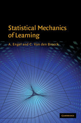 Statistical Mechanics of Learning - Retail Maharaj