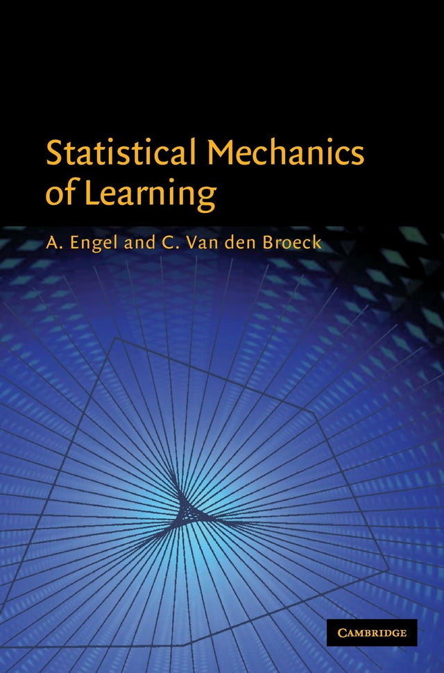 Statistical Mechanics of Learning - Retail Maharaj