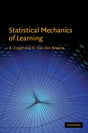Statistical Mechanics of Learning - Retail Maharaj