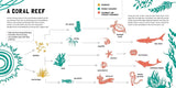 Food Chains: Who Eats What? - Retail Maharaj