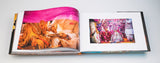 Behind The Indian Veil - A Journey Through Weddings in India - Retail Maharaj