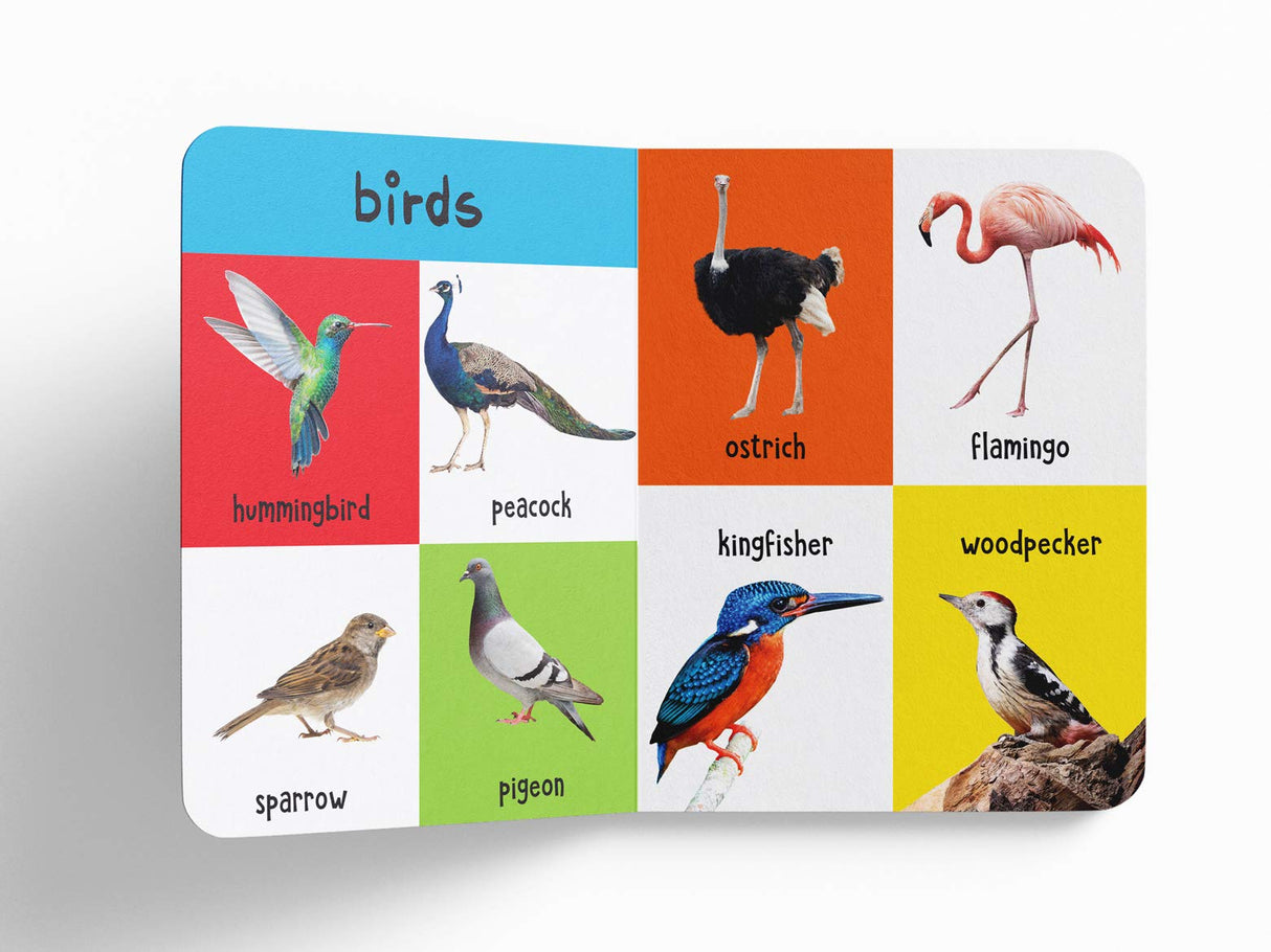 My First 4 in 1: Wild Animals, Pet & Farm Animals, Birds, Sea Animals | Padded Board Book for Kids | Learn About Different Animals with Bright, Engaging Pictures | Early Learning Book for Babies, Toddlers & Preschoolers | Ages 0–5 Years - Retail Maharaj