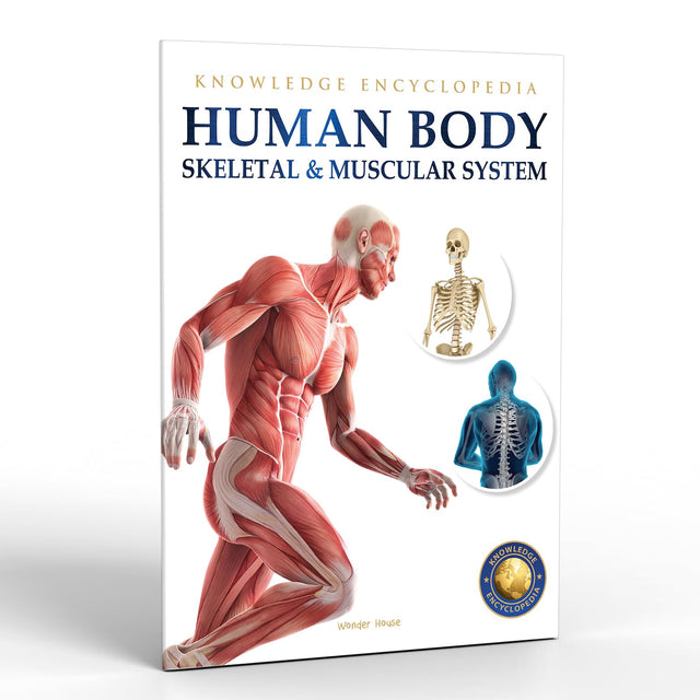 Human Body - Skeletal And Muscular System: Knowledge Encyclopedia For Children - Retail Maharaj