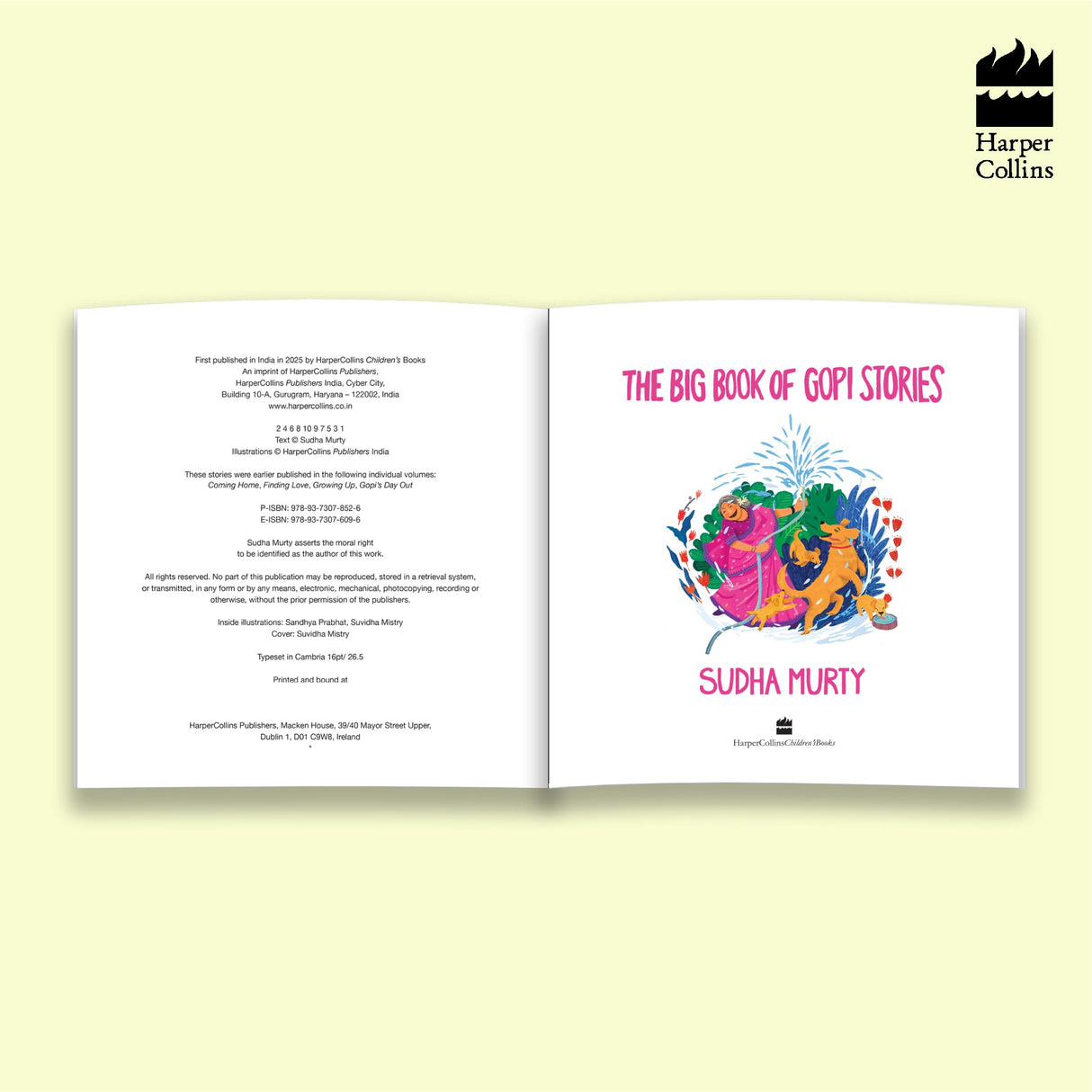 The Big Book Of Gopi Stories: The Gopi Diaries - Retail Maharaj