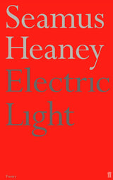 Electric Light - Retail Maharaj