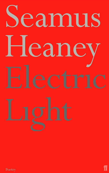 Electric Light - Retail Maharaj