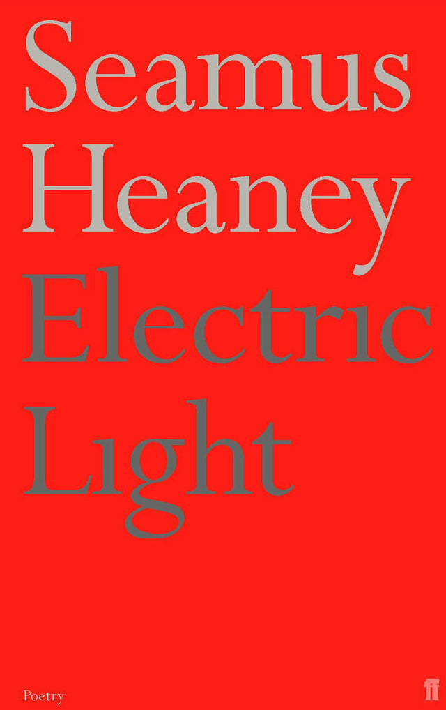 Electric Light - Retail Maharaj