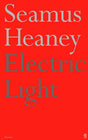 Electric Light - Retail Maharaj