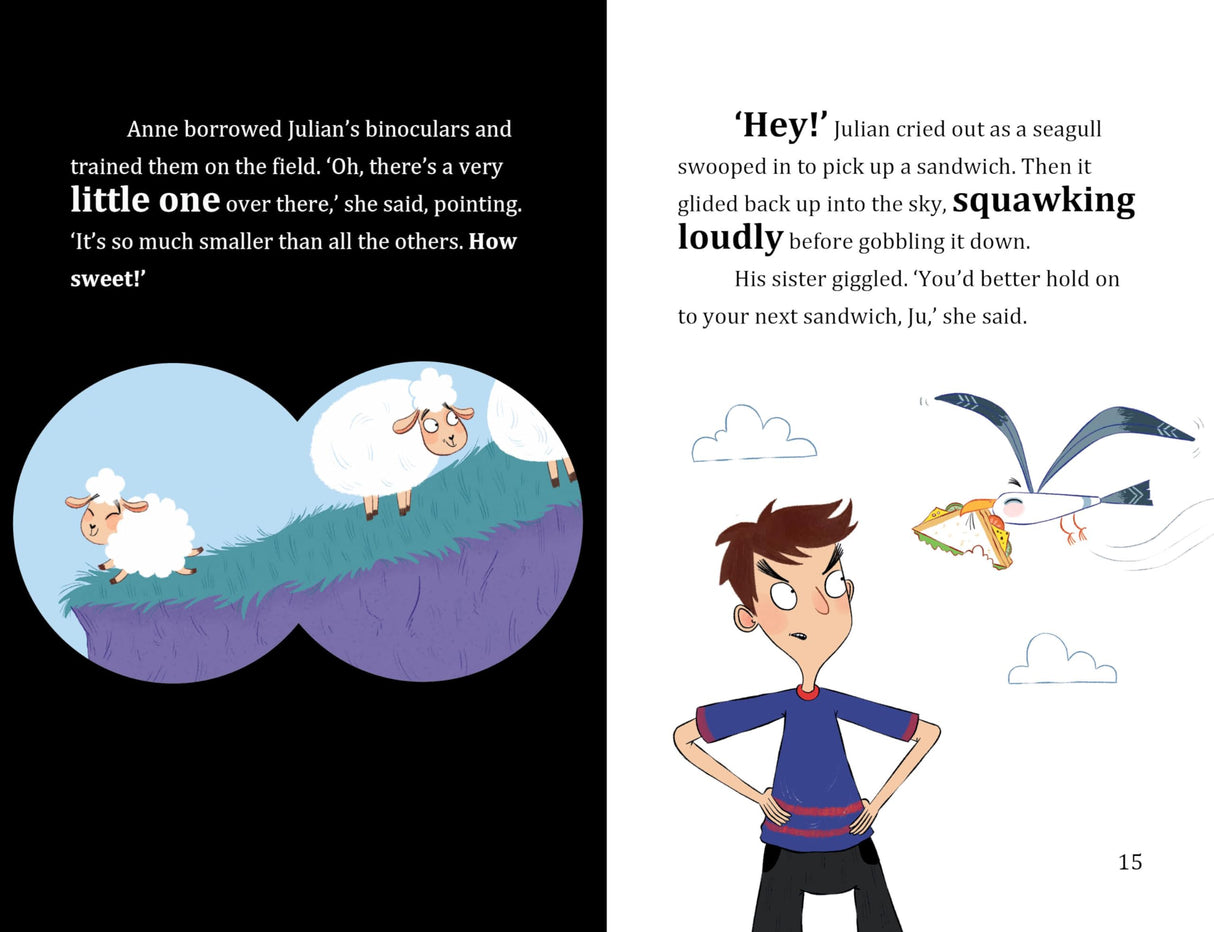 FAMOUS FIVE COLOUR SHORT STORIES: FIVE TO THE RESCUE! - Retail Maharaj