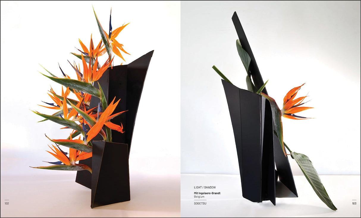 Ikebana Opposites Attract - Retail Maharaj