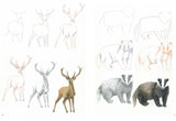 How to Draw Woodland Animals In Simple Steps - Retail Maharaj