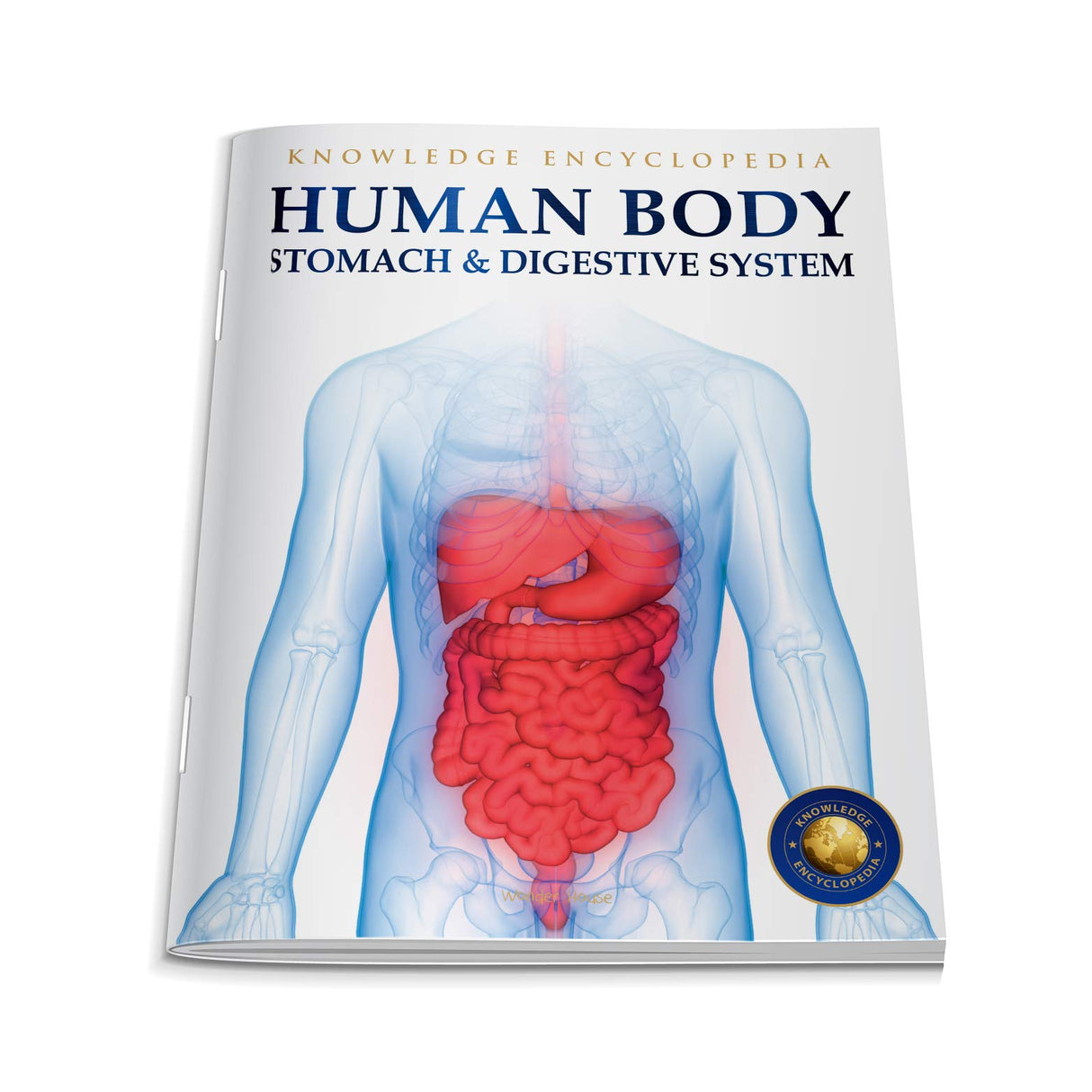 Human Body - Stomach And Digestive System: Knowledge Encyclopedia For Children - Retail Maharaj