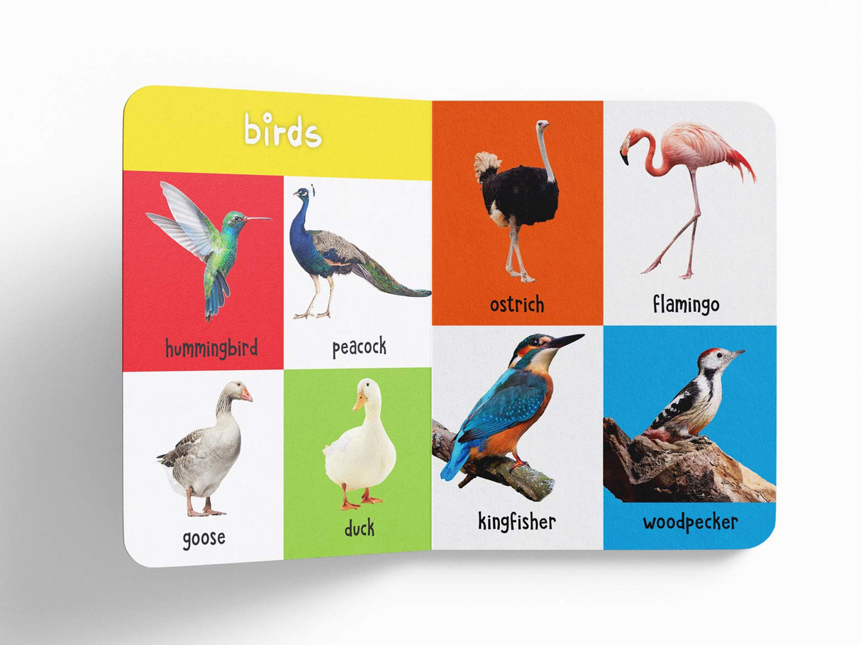 My First 100 Animals and Birds: Padded Board Book for Kids | Learn Names of Wild Animals, Farm Animals, Pets & Birds with Bright Pictures | Early Learning Book for Babies, Toddlers & Preschoolers | Ages 0–5 Years - Retail Maharaj
