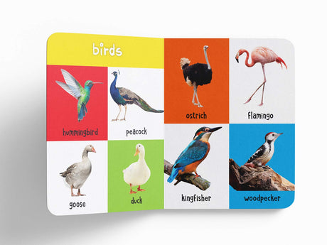 My First 100 Animals and Birds: Padded Board Book for Kids | Learn Names of Wild Animals, Farm Animals, Pets & Birds with Bright Pictures | Early Learning Book for Babies, Toddlers & Preschoolers | Ages 0–5 Years - Retail Maharaj