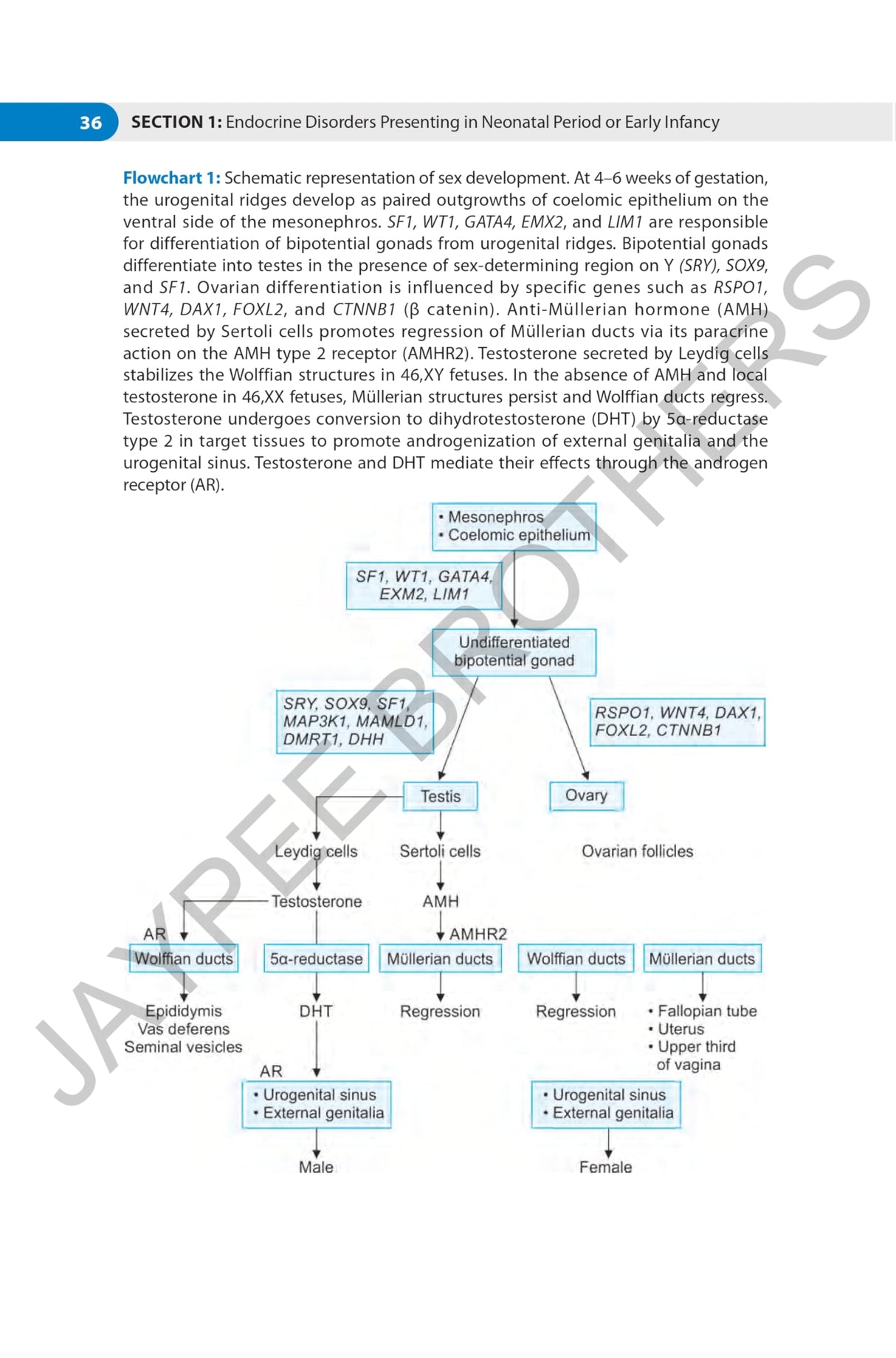 CASE BASED REVIEWS IN PEDIATRIC ENDOCRINOLOGY - Retail Maharaj