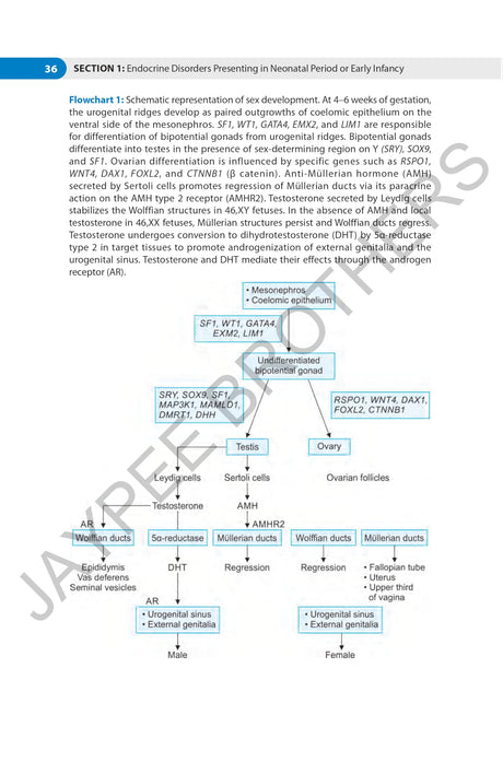 CASE BASED REVIEWS IN PEDIATRIC ENDOCRINOLOGY - Retail Maharaj