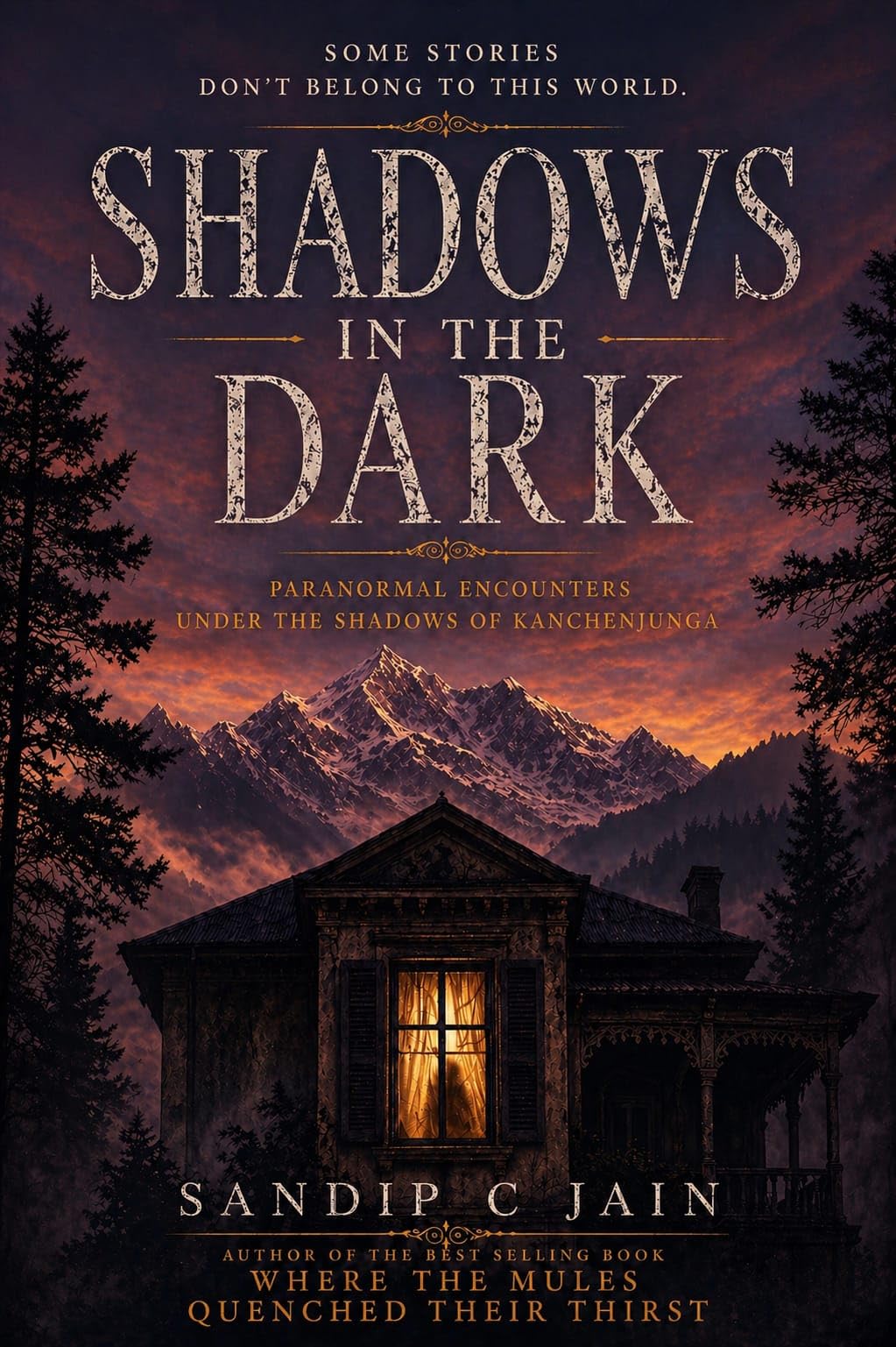 Shadows In The Dark (English Version)