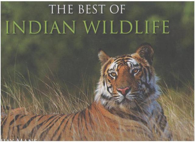 THE BEST OF INDIAN WILDLIFE - Retail Maharaj