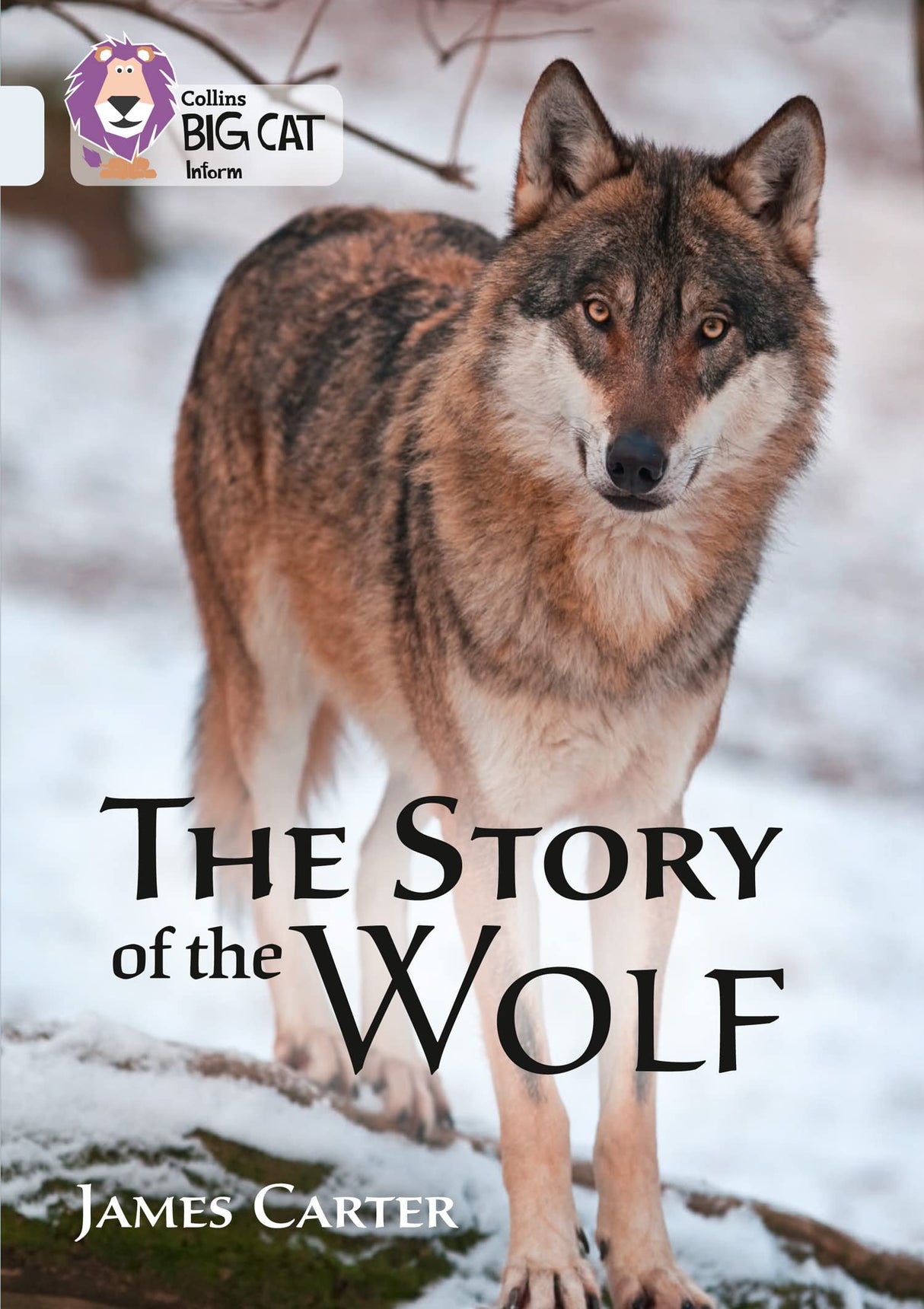 Story of the Wolf: Band 17/Diamond (Collins Big Cat) - Retail Maharaj