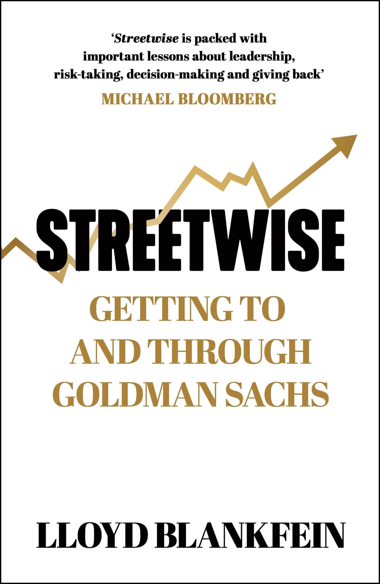 Streetwise: Lessons From a Life at Goldman Sachs - Retail Maharaj