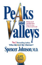 Peaks And Valleys - Retail Maharaj