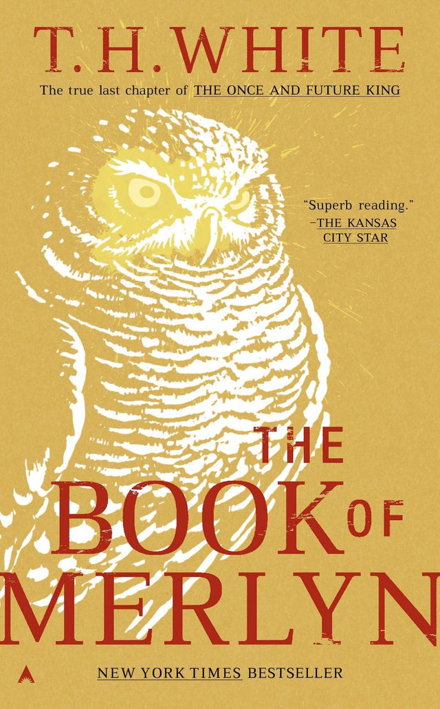 The Book of Merlyn - Retail Maharaj