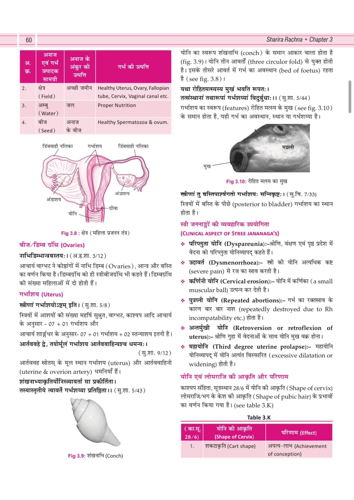 Illustrated Textbook of Rachna Sharir (Vol-1) (सचित्र रचना शारीर) Modern and Ayurveda anatomy with Clinical & Applied aspects based on new NCISM curriculum for BAMS 1st Professional - Retail Maharaj