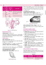 Illustrated Textbook of Rachna Sharir (Vol-1) (सचित्र रचना शारीर) Modern and Ayurveda anatomy with Clinical & Applied aspects based on new NCISM curriculum for BAMS 1st Professional - Retail Maharaj
