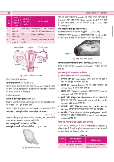 Illustrated Textbook of Rachna Sharir (Vol-1) (सचित्र रचना शारीर) Modern and Ayurveda anatomy with Clinical & Applied aspects based on new NCISM curriculum for BAMS 1st Professional - Retail Maharaj