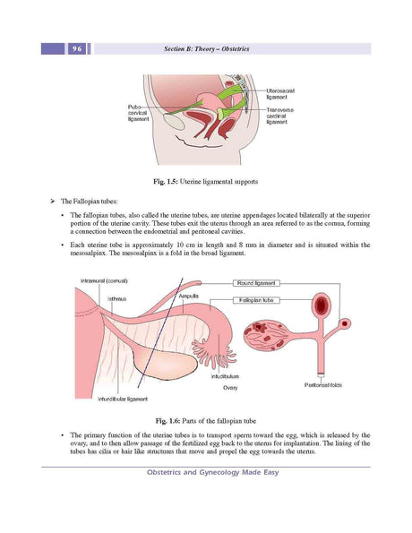 Obstetrics & Gynaecology Made Easy, Deevish - 3rd, 2016.0 - Retail Maharaj