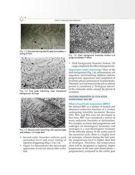 Clinics in Reproductive Medicine and Assisted Reproductive Technology, Volume 5 ( HB 2025) - Retail Maharaj