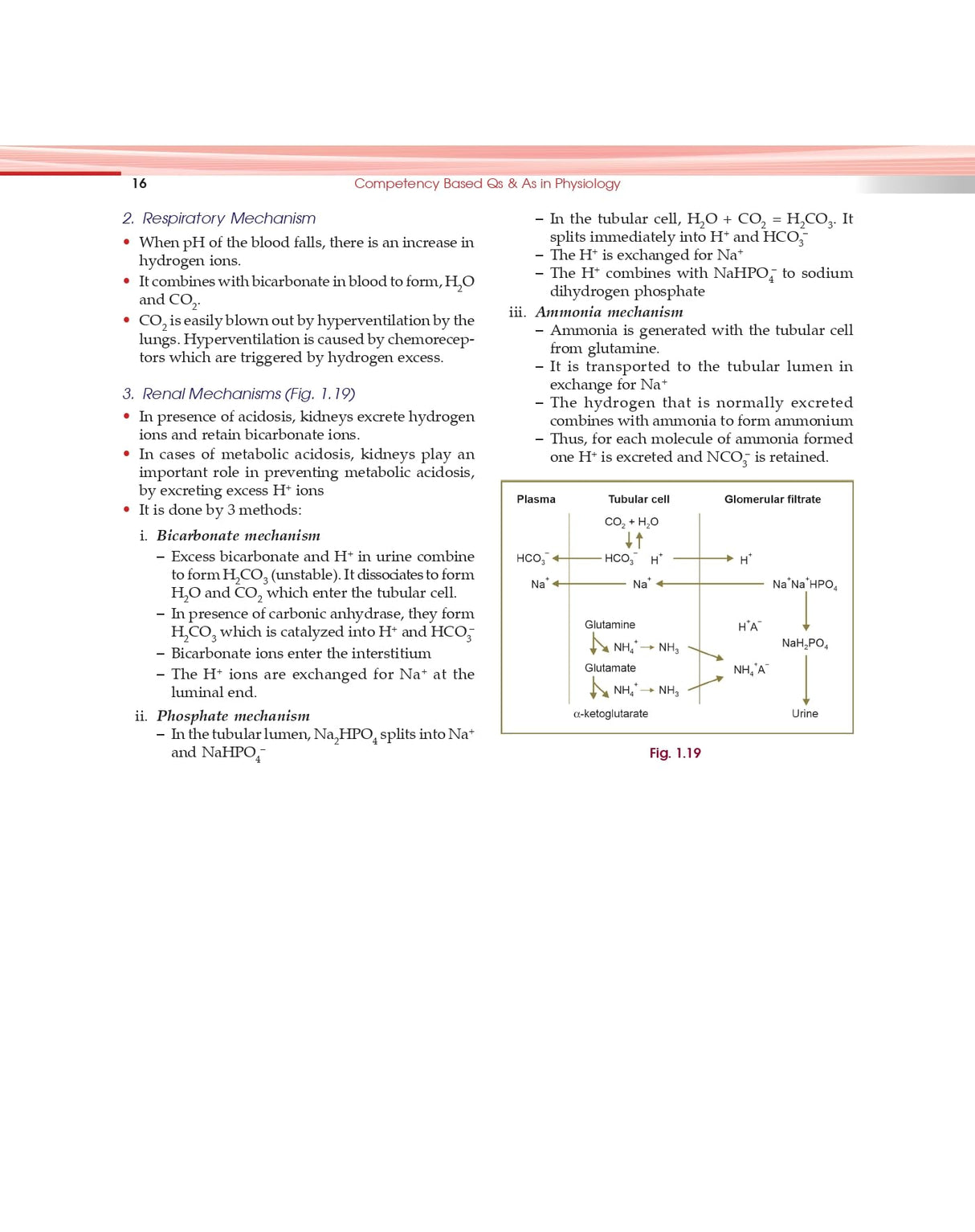 Competency Based Questions And Answers In Physiology For First Mbbs Professional Examination (Pb 2024) - Retail Maharaj