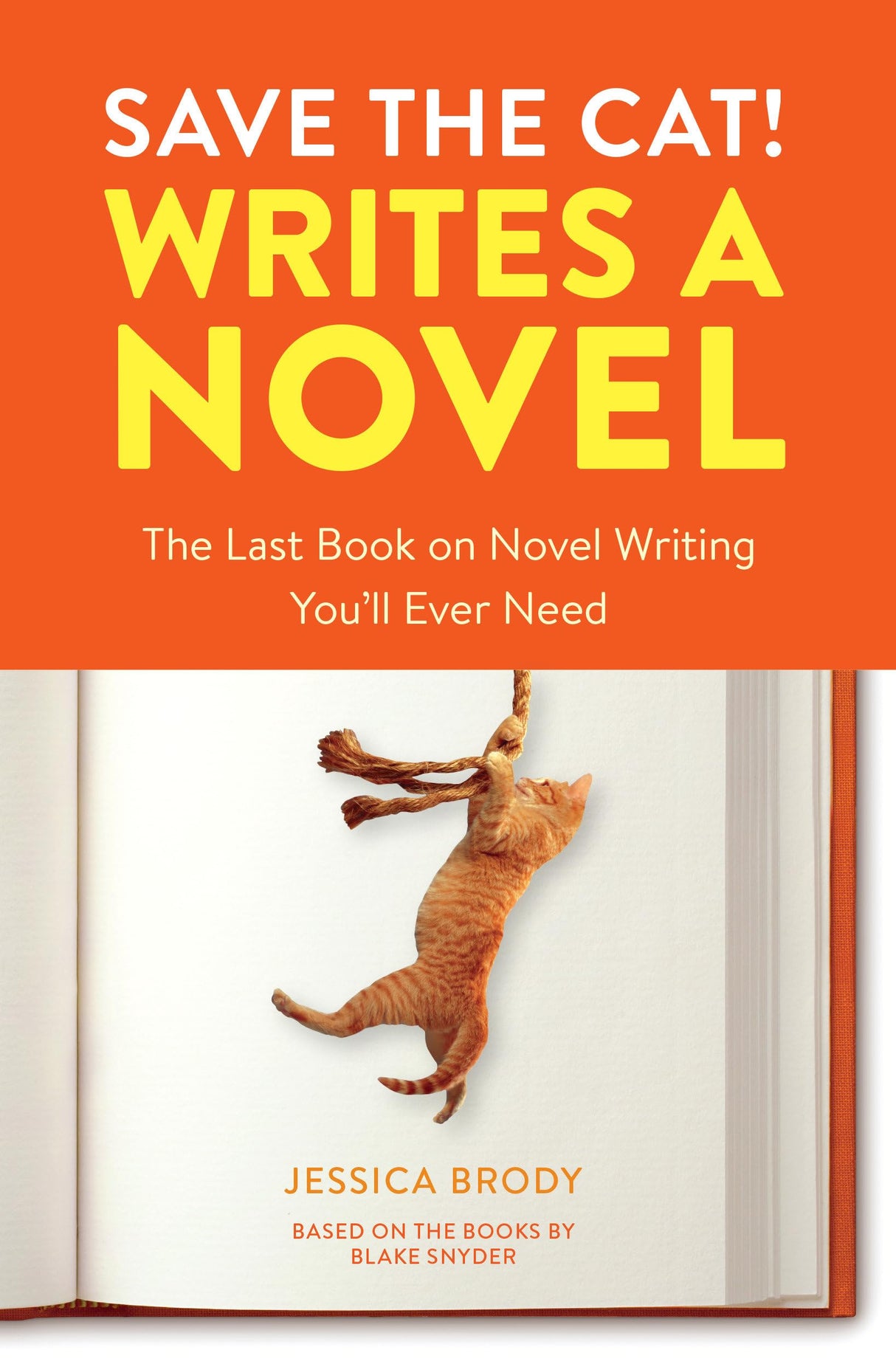 Save the Cat! Writes a Novel - Retail Maharaj