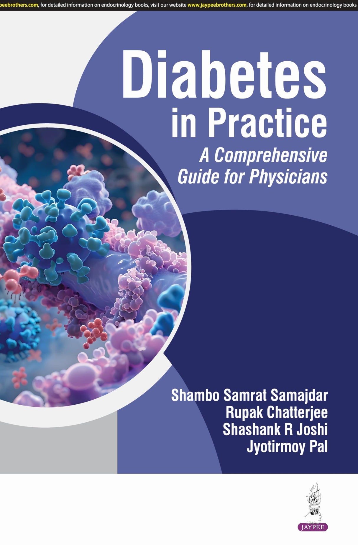 DIABETES IN PRACTICE A COMPREHENSIVE GUIDE FOR PHYSICIANS - Retail Maharaj