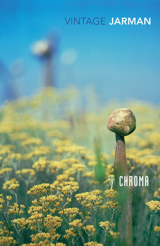 Chroma: A Book of Colour - June '93 - Retail Maharaj